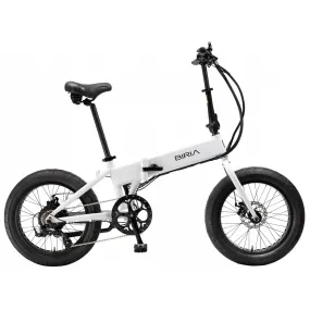 Big Cat 2024 BIRIA 500 XL Fat Tire - Folding Electric Bike