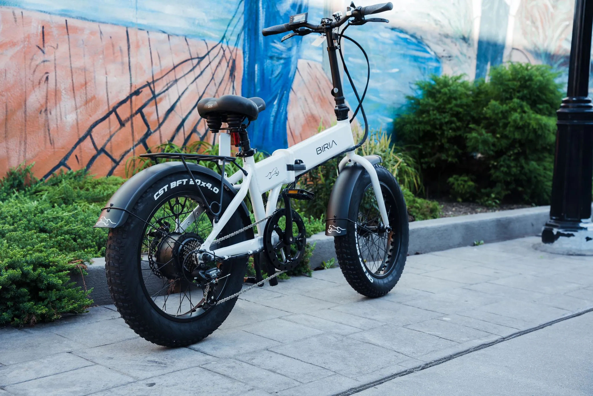 Big Cat 2024 BIRIA 500 XL Fat Tire - Folding Electric Bike