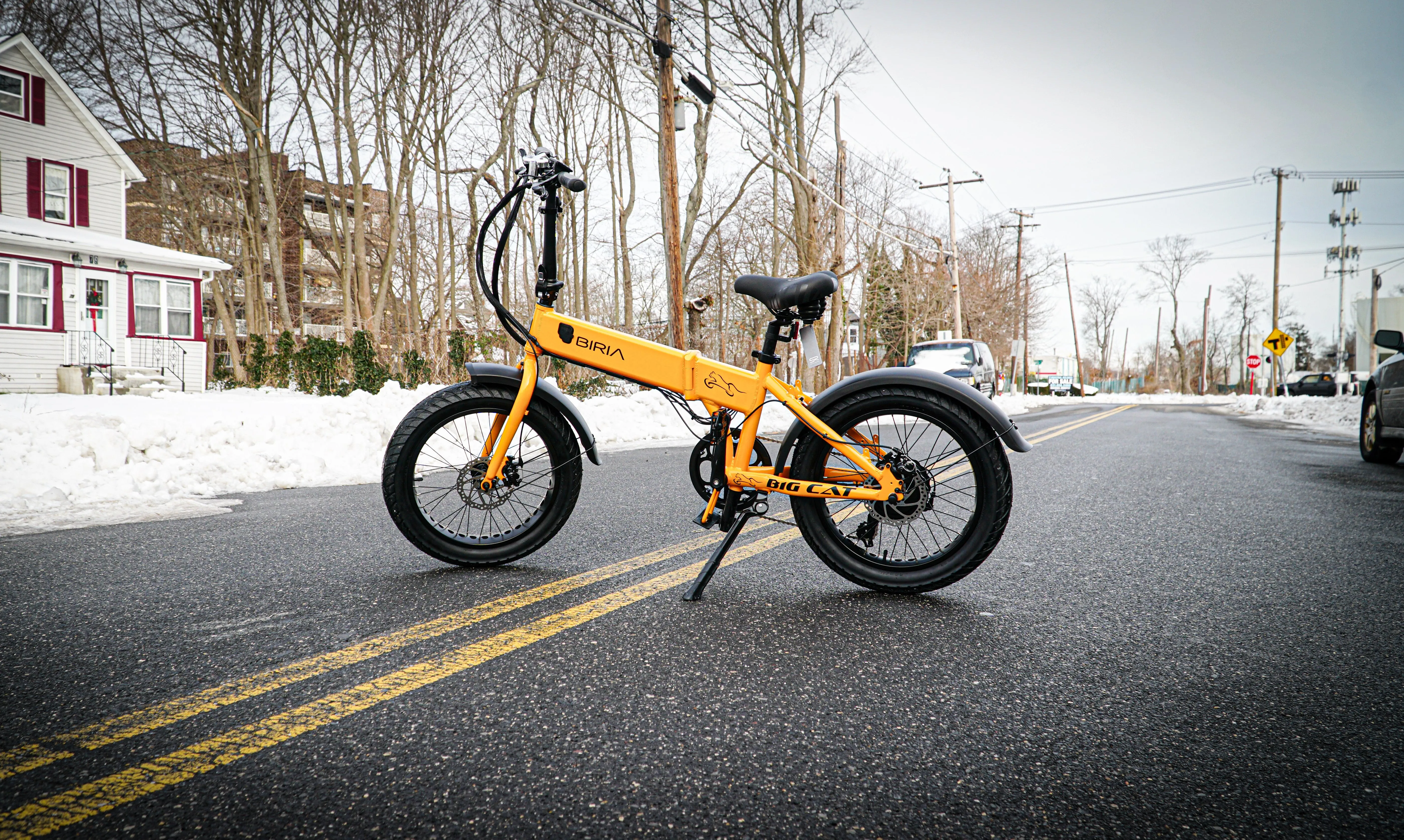 Big Cat 2024 BIRIA 500 XL Fat Tire - Folding Electric Bike