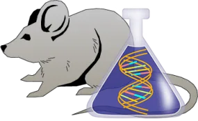 Mouse Factor IX Genetically Deficient Heart Tissue Lysate