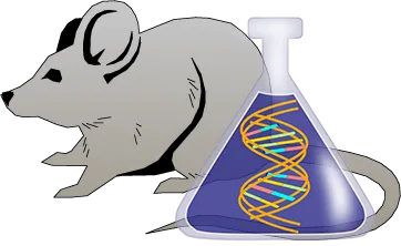 Mouse Factor IX Genetically Deficient Heart Tissue Lysate