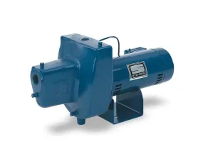 Pentair Sta-Rite HN Series Cast Iron Shallow Well Jet Pumps 1 HP