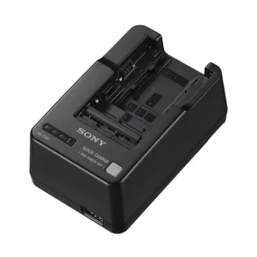 Sony BC-QM1 InfoLithium Battery Charger